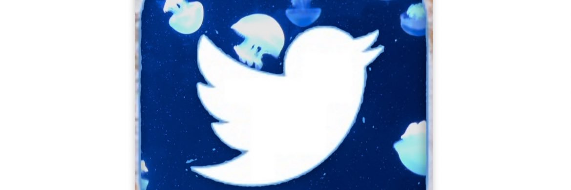 マ　ナまな🇯🇵 banner