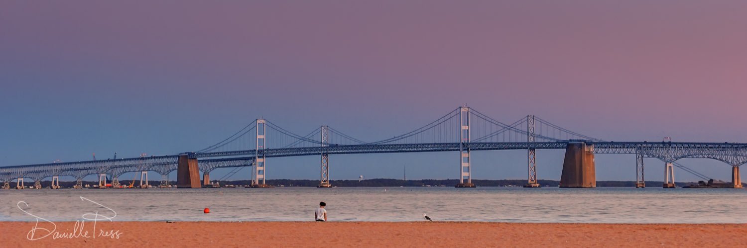 DanielleWPress's profile banner image