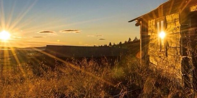 bopp696's profile banner image