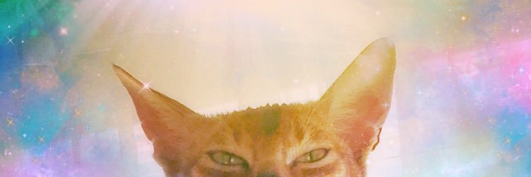 TheRealMothra's profile banner image