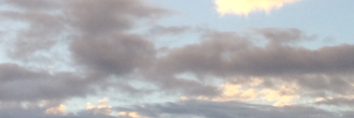BSereneb banner