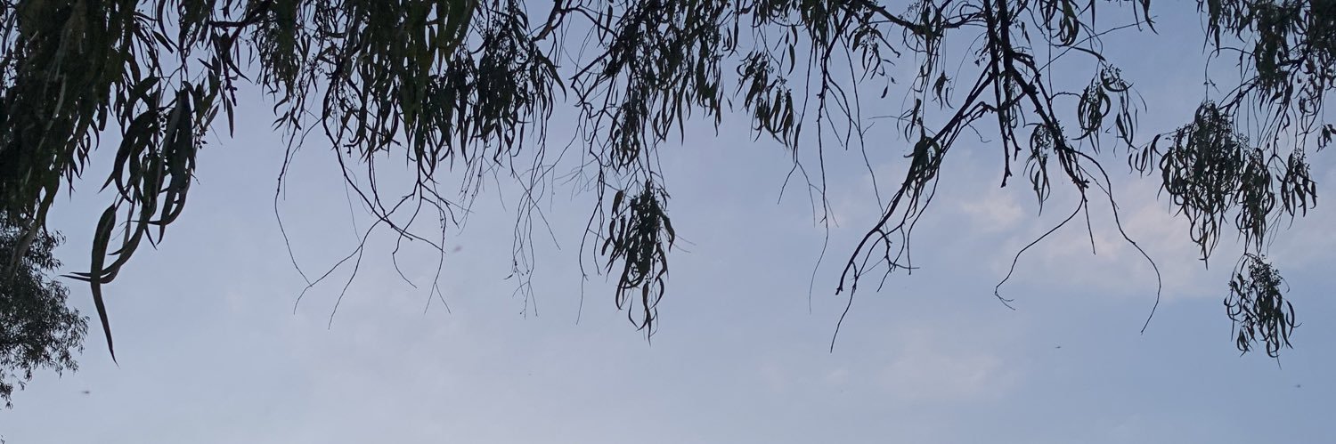 k1000a_d's profile banner image