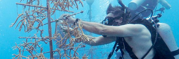 Cayman Eco Divers Profile Banner