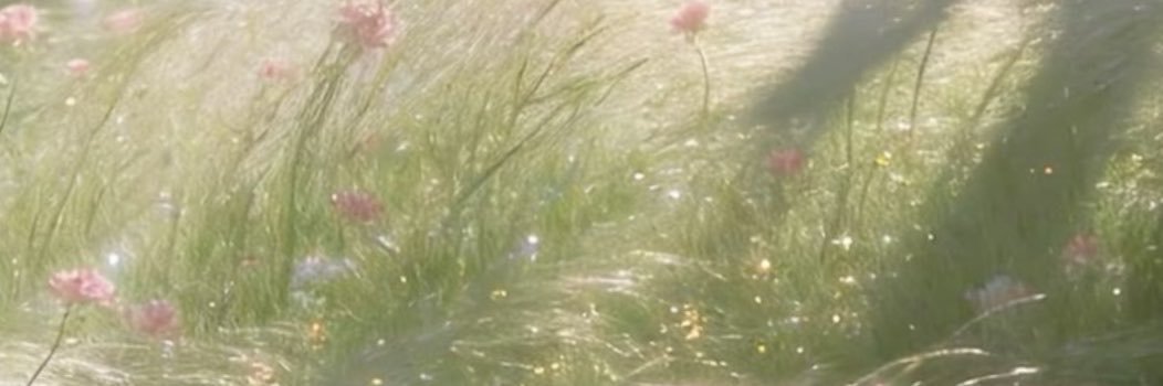ylc04_'s profile banner image