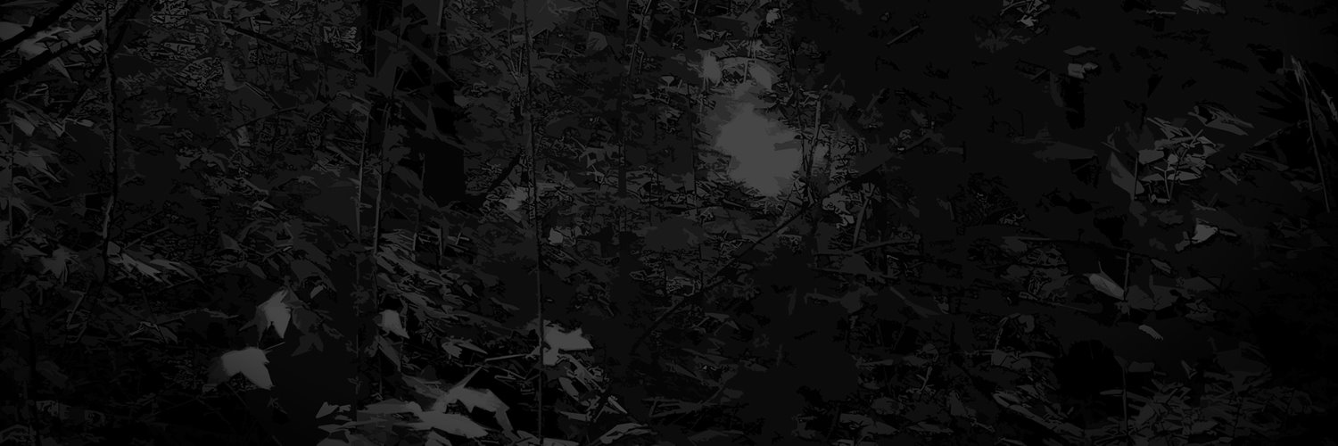 DamnPhotoArtist's profile banner image