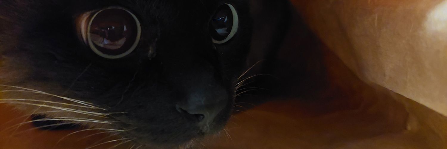 mk_book's profile banner image
