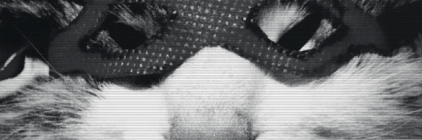 PetulaMoore Profile Banner