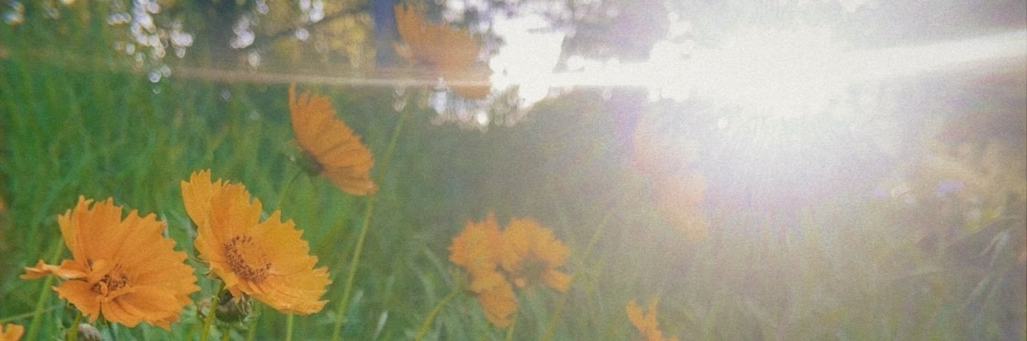 Kyle Wolfe banner