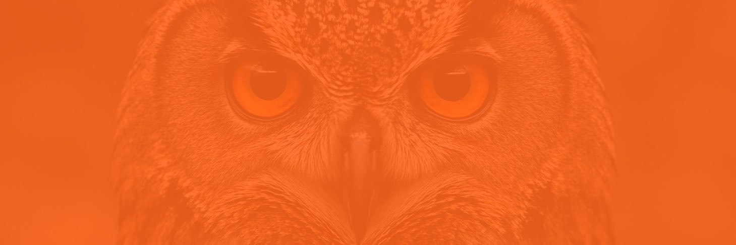 EarlyB3rd's profile banner image
