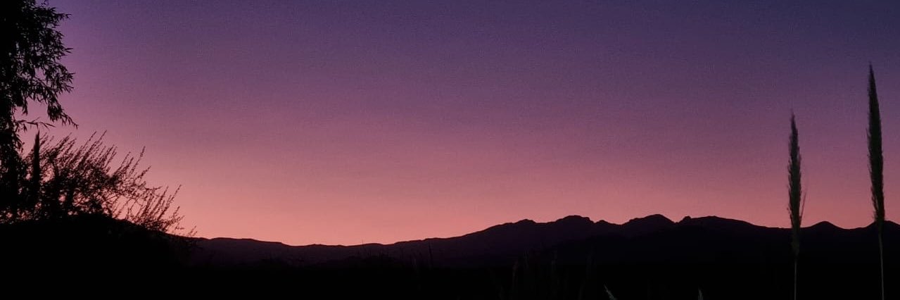 CarBresca's profile banner image