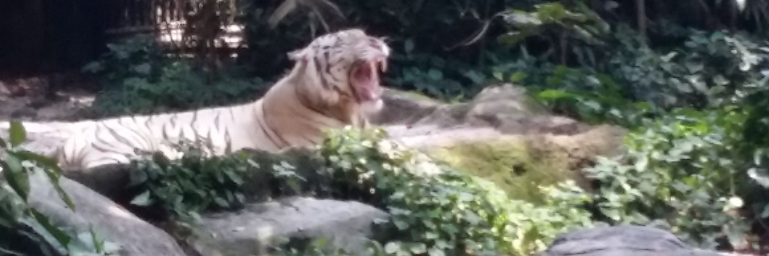 moba767's profile banner image