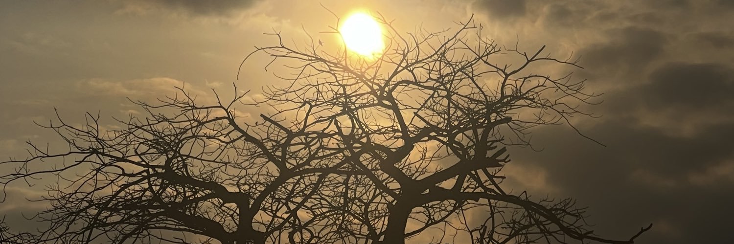 dacubaz99's profile banner image