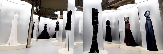Carla Rodríguez banner