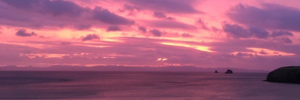 GalaGeorgette Profile Banner