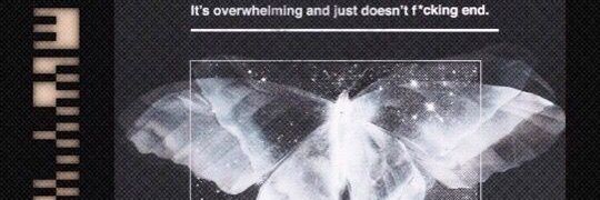 flight_suits's profile banner image
