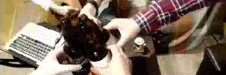 perotan_'s profile banner image