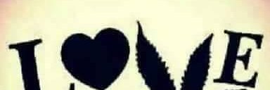 diegocano34's profile banner image