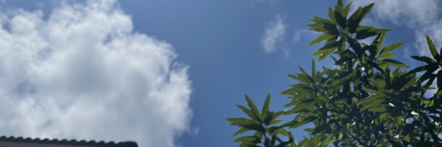 Paloma Pantaleon banner