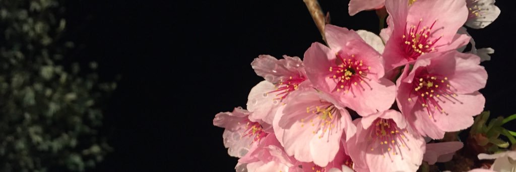 Amour_k18's profile banner image