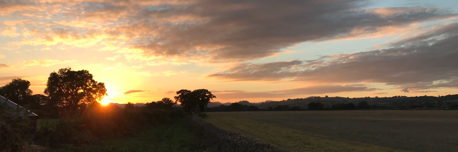 roo2931's profile banner image