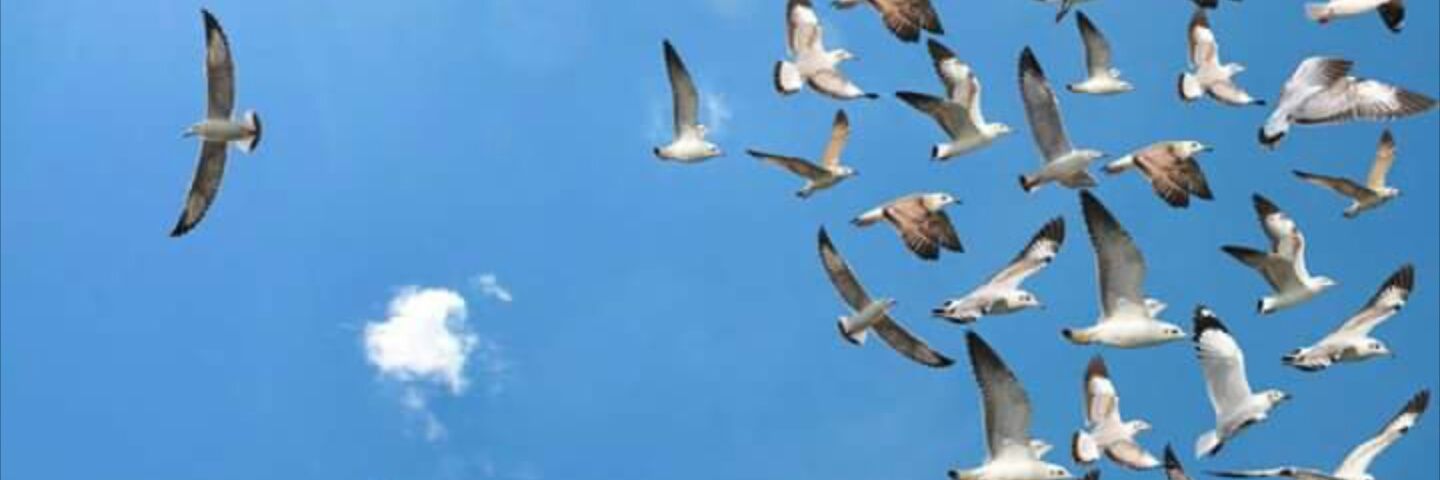 06Glhan's profile banner image