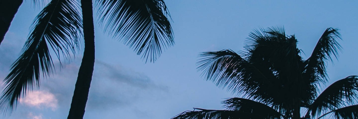 Erizomuzi's profile banner image