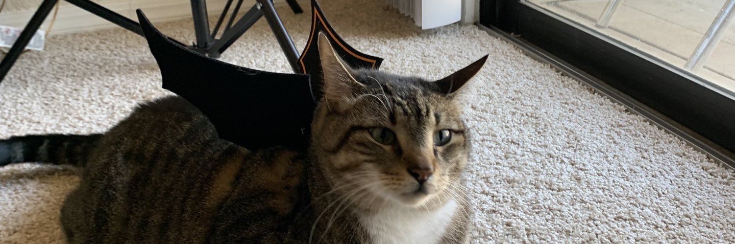 RunDavidMoore's profile banner image