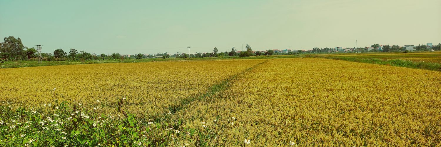 Hoài Anh 🫧 banner