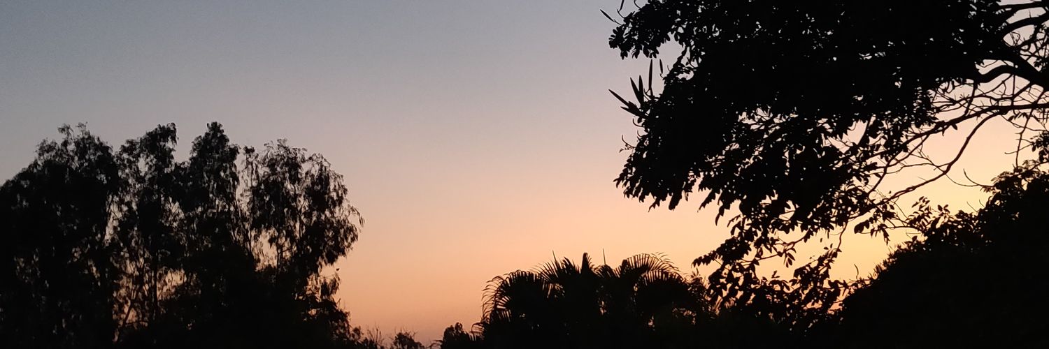 Divnambiar's profile banner image