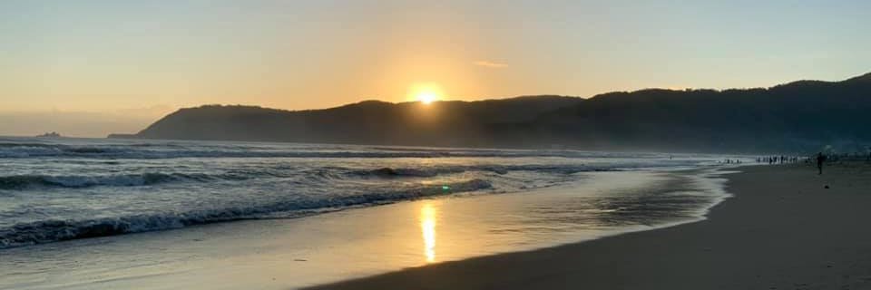 Sandy Knowles banner