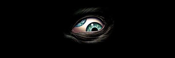 sikkovittol's profile banner image