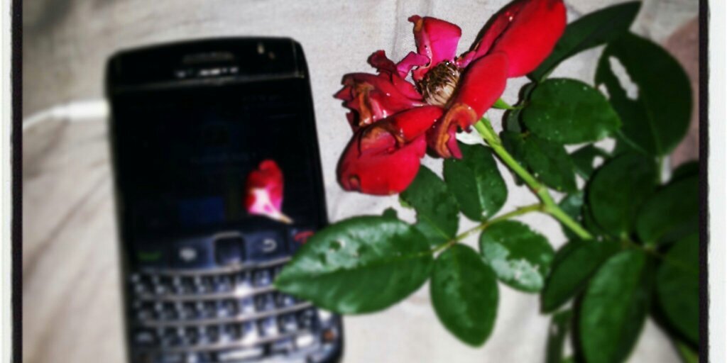 _a2mi_'s profile banner image