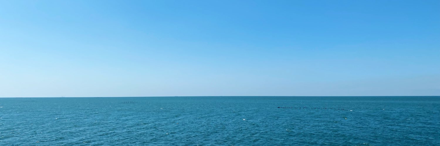 nookeii's profile banner image