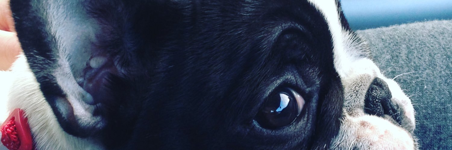 larisa89's profile banner image