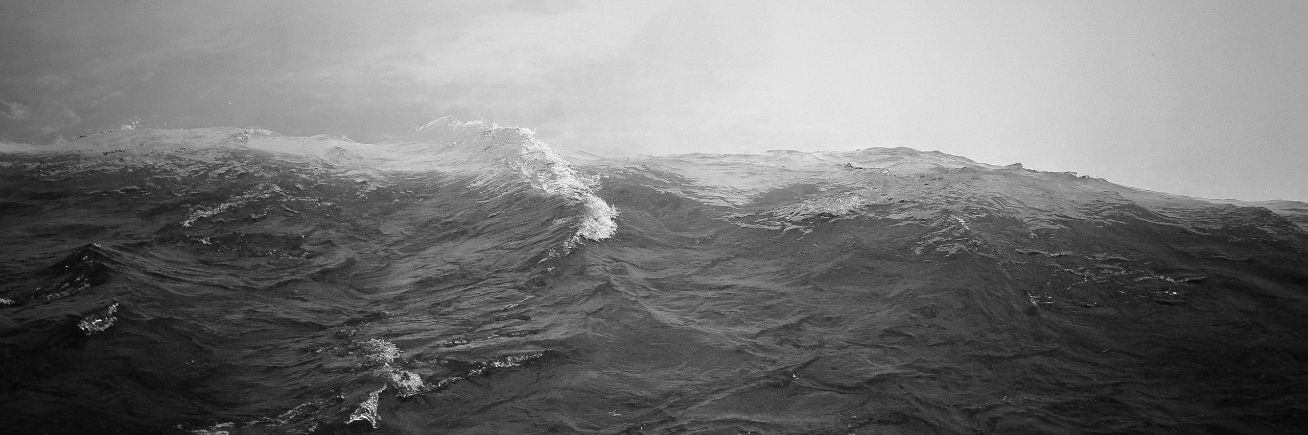 Роуз banner