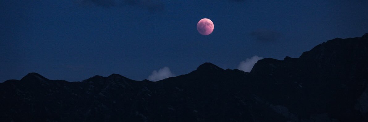 파아도오🌊 banner