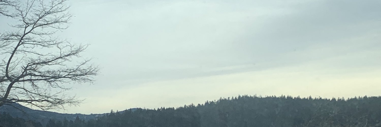 GOODGRlEFS's profile banner image