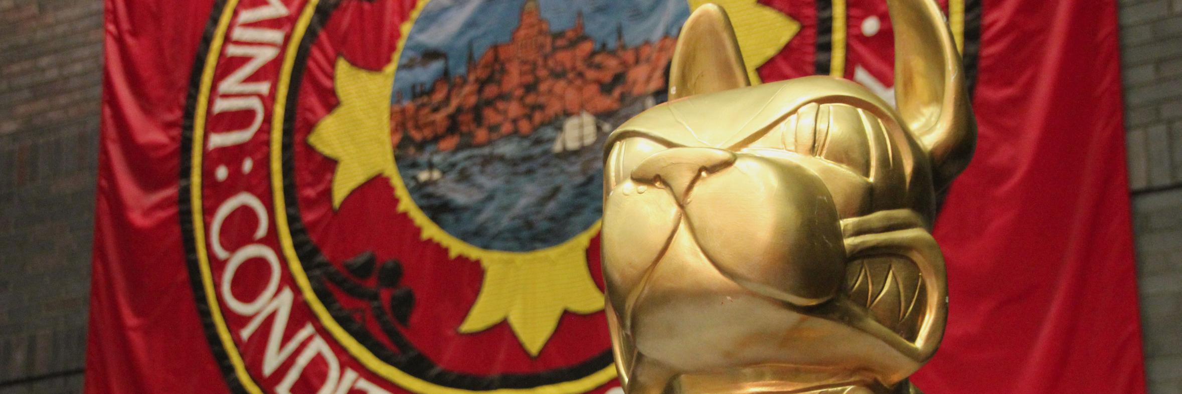 BU Orientation banner