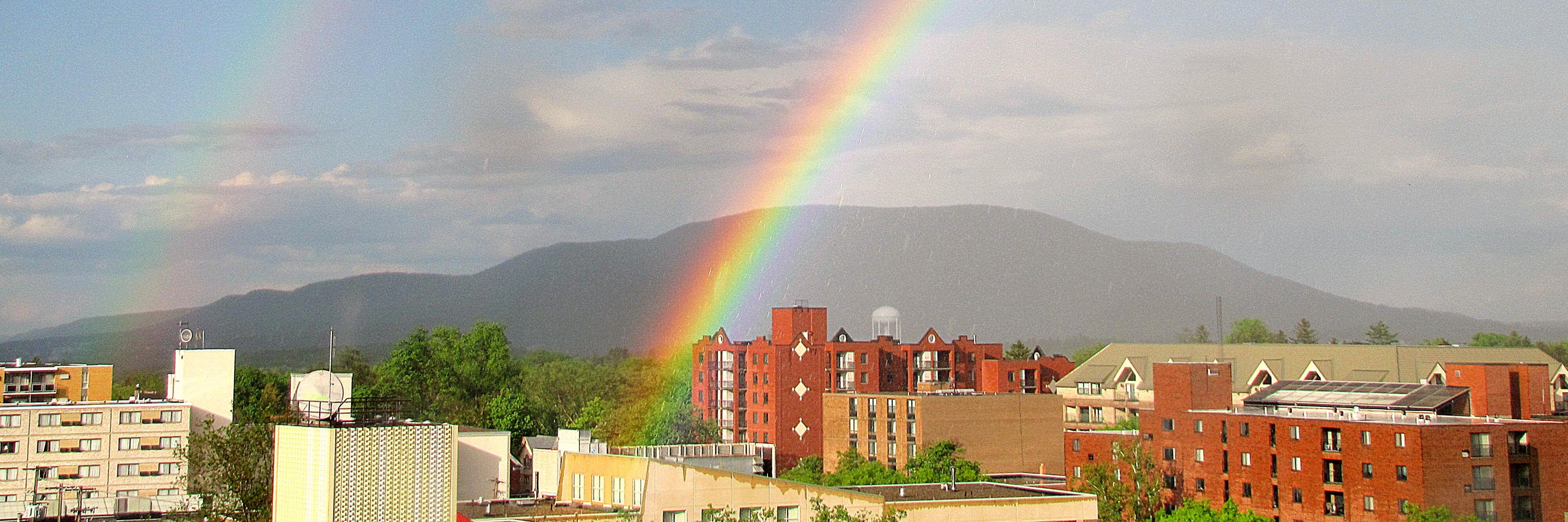 AMS Summer Meeting banner