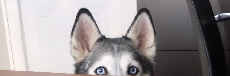 __Japhy's profile banner image