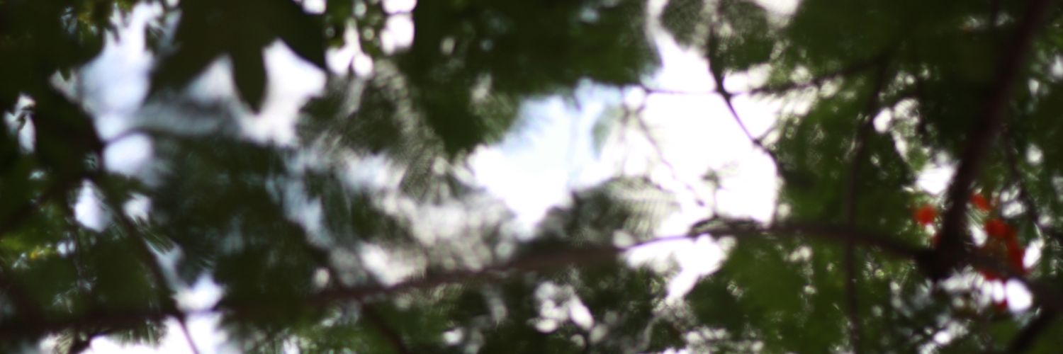 Syprxs's profile banner image
