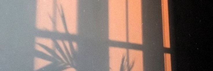 CamiGiachello's profile banner image