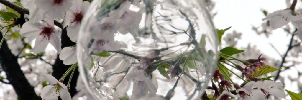 七魚(なな) banner