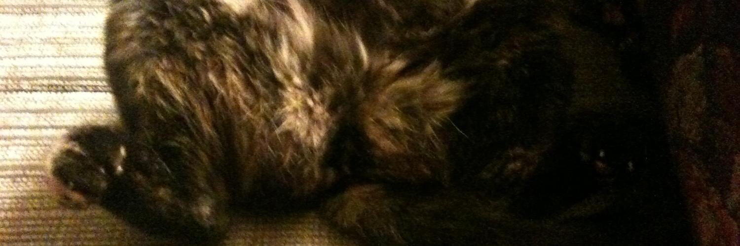 catpr0n's profile banner image