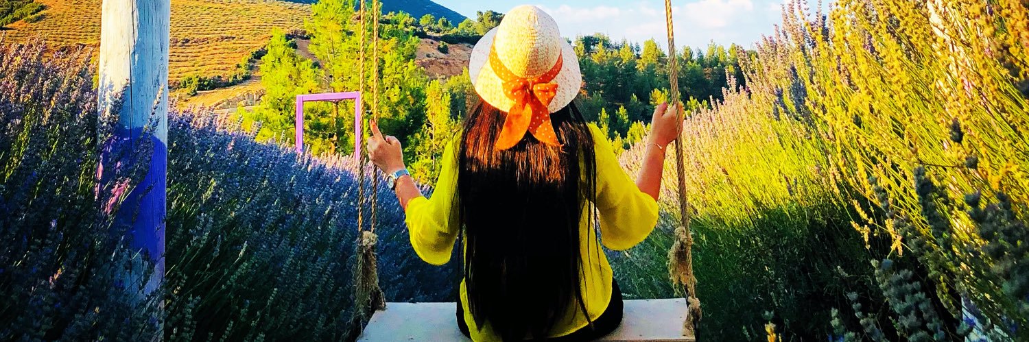 ayselkarakocek's profile banner image
