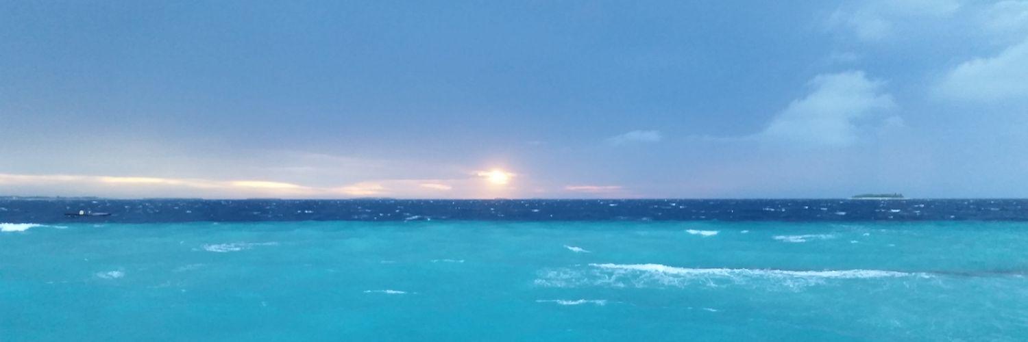 JustineDevogel's profile banner image