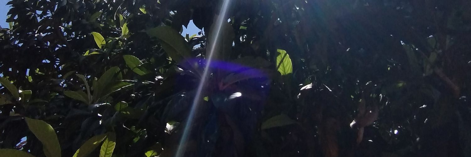 luxcik's profile banner image