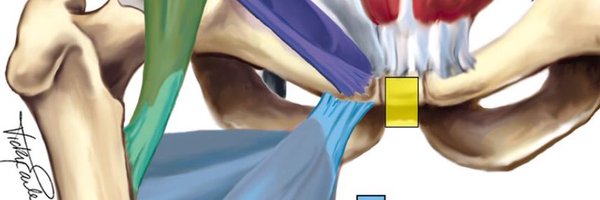 AdamWeirSports Profile Banner
