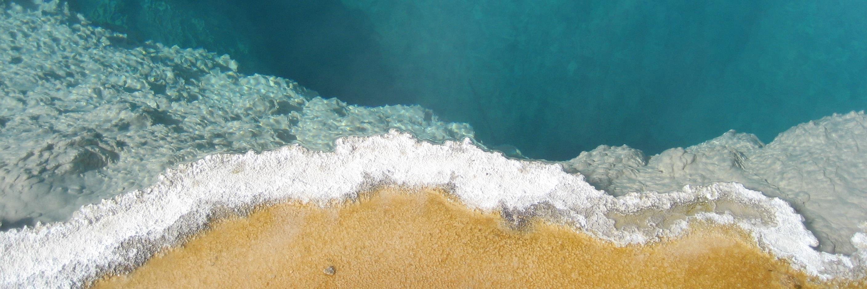 Katy Sullivan banner