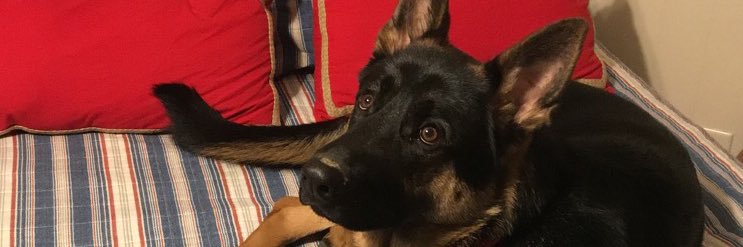 mickey_todd's profile banner image